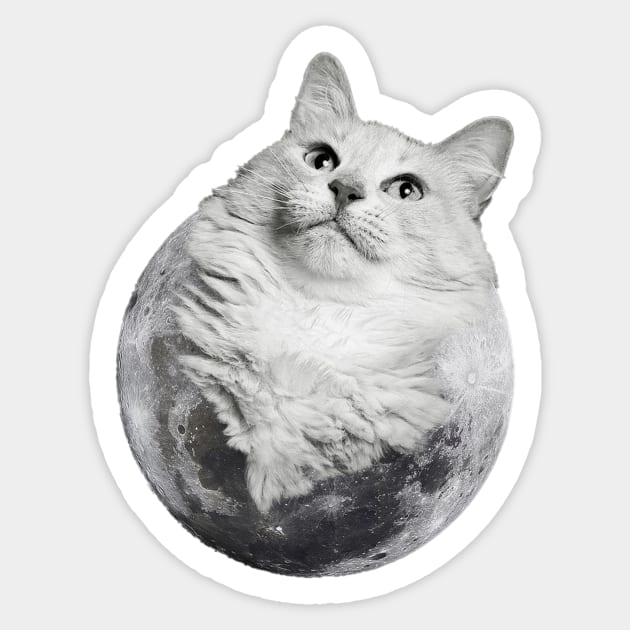 Cats Mood 003 Sticker by XIQUI